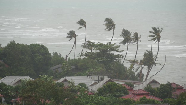 typhoon-ocean-beach-natural-disaster-hurricane-strong-cyclone-wind-palms-tropical-storm_333216-137-8a00bb9d